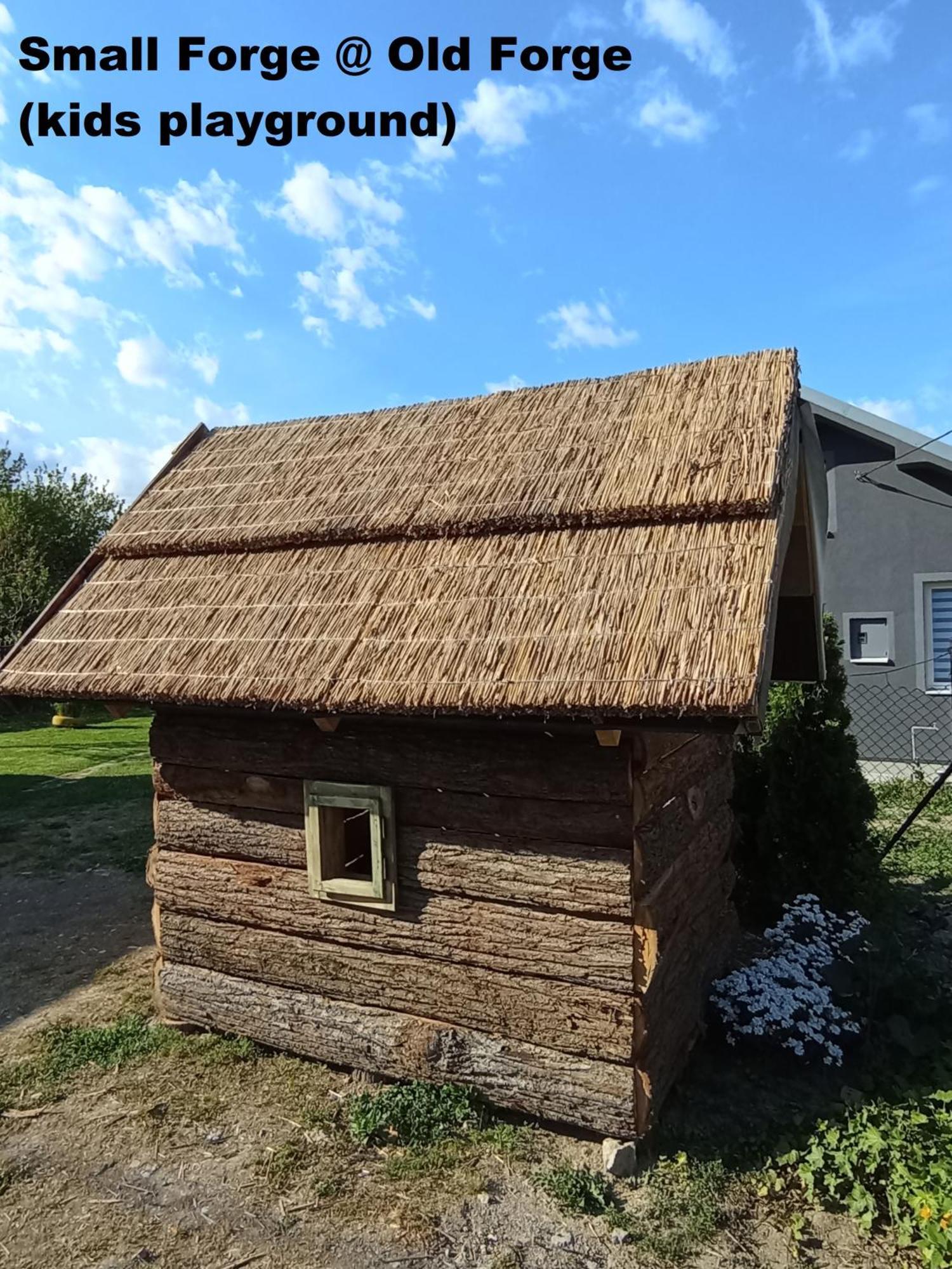 Stara Kovacnica Villa Golubac Ngoại thất bức ảnh